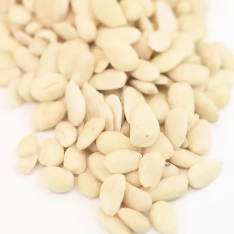 Fruits Secs*CUISINEADDICT Amande Emondée Amère 250g