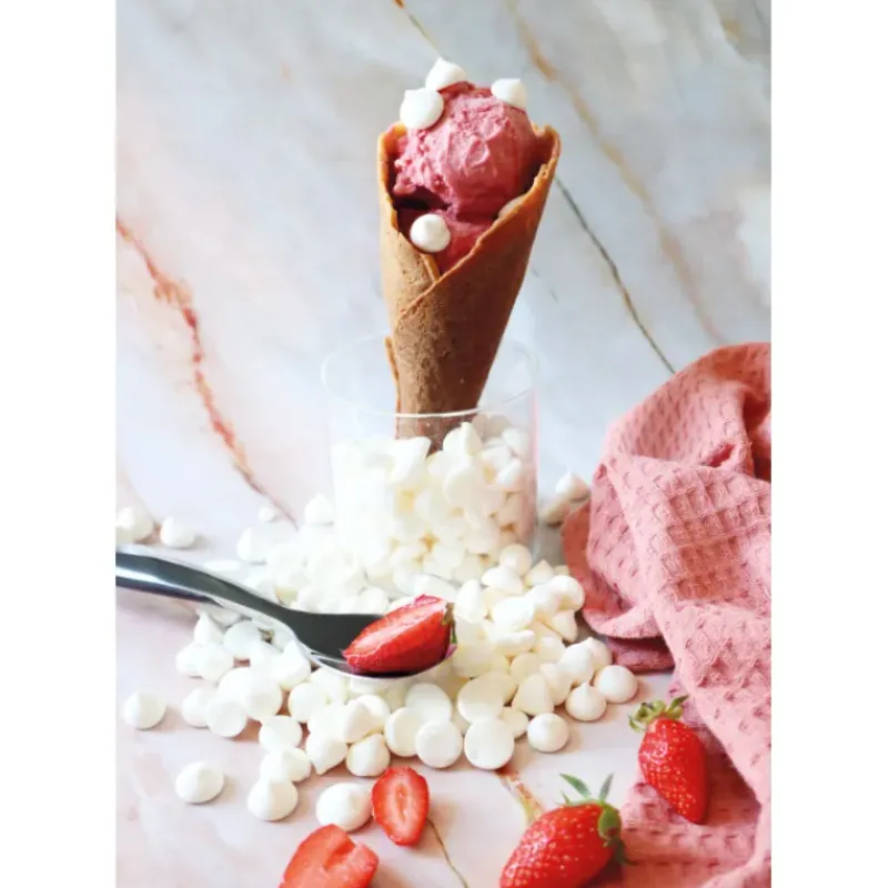 Gaufrier*SCRAPCOOKING Appareil à Gaufrettes Waffle Factory