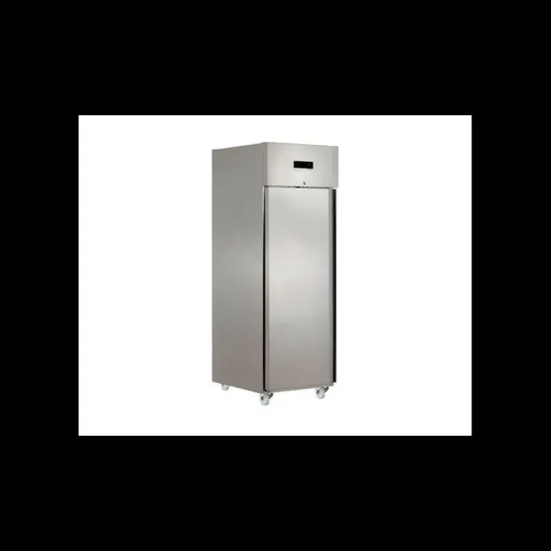 Froid*TECHNOFROID Armoire Réfrigérée Négative 610 L 1 Porte GN2/1