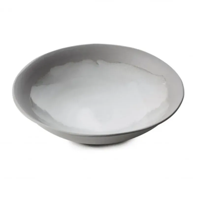 Vaisselle*REVOL Assiette Creuse Céramique Blanc Arctique 24 cm No.W