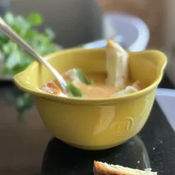 Plat De Cuisson*EMILE HENRY Bol à Gratiner Provence 0,55 L