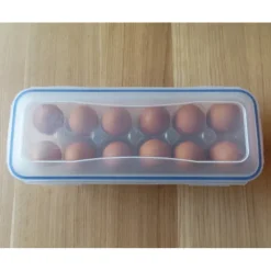 Conservation*LOCK AND LOCK Boîte 12 Œufs Plastique 32 x 13 cm x H 7,5 cm