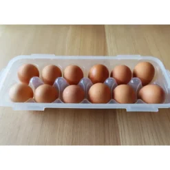 Conservation*LOCK AND LOCK Boîte 12 Œufs Plastique 32 x 13 cm x H 7,5 cm