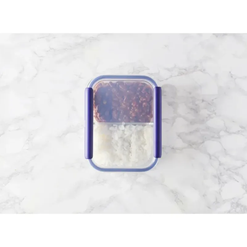 Conservation*MASTRAD Boîte de Conservation Connectée avec Compartiments 1,45 L Bleu Stor'eat