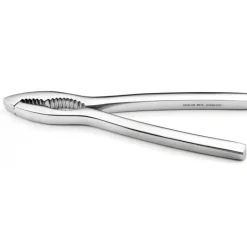 Couteau À Poisson|Pilon Et Casse-noix*DEGLON Casse Noix Pince à crustacés Inox 16 cm Déglon