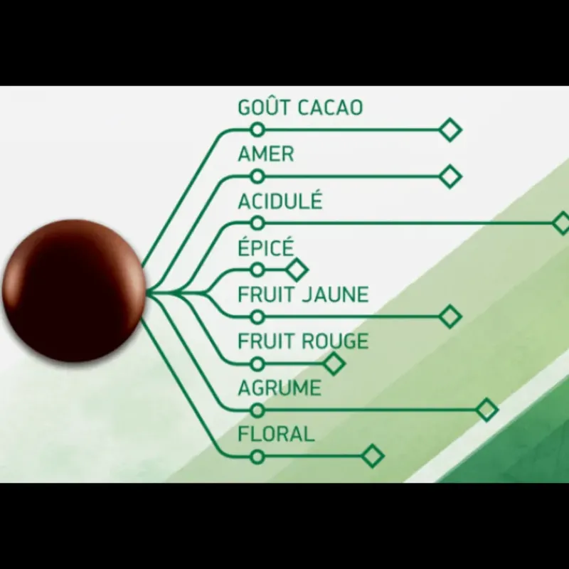 Chocolat De Couverture*BARRY Chocolat Noir Evocao 72% 2,5 kg