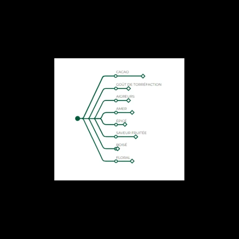 Chocolat De Couverture*BARRY Chocolat noir origine Saint-Domingue 70% 1 kg