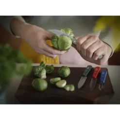 Couteau D'office|Eplucheurs, Dénoyauteur*OPINEL Coffret 3 Couteaux de Cuisine et un Eplucheur Primo Les Essentiels