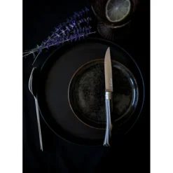 Couverts*OPINEL Coffret 4 Couteaux de Table Bouleau Lamellé Table Chic