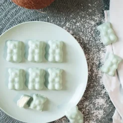 Moule Silicone*SCRAPCOOKING Coffret Oursons Summer Edition Limitée