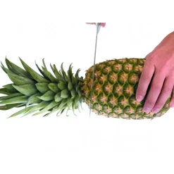 Coupe Fruits*IBILI Coupe Ananas Plastique Ø 8,5 cm x H 25 cm