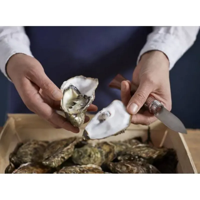 Couteau À Poisson*OPINEL Couteau à Huîtres N°9