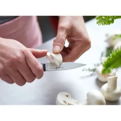 Couteau D'office*OPINEL Couteau d'Office N°225 Intempora