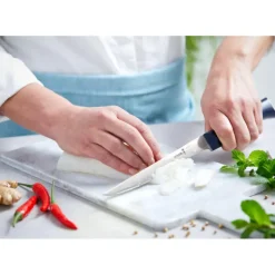 Couteau À Poisson*OPINEL Couteau Effilé N°221 Intempora