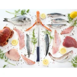 Couteau À Poisson*OPINEL Couteau Effilé N°221 Intempora