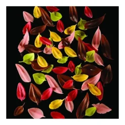 Ustensiles Chocolat*PAVONI Couteau Inox Plume 8 x 2,3 cm Flychoc