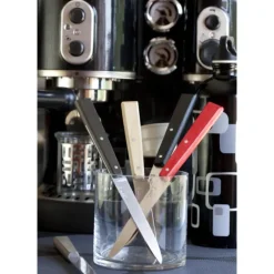 Couverts*OPINEL Couteaux de Table (x4) Loft Bon Appétit !