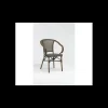 Mobilier Terrasse Restaurant*LYROSE Fauteuil Imitation Rotin Moka et Bois