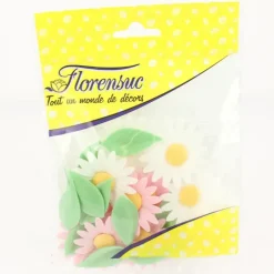 Décoration Comestible*FLORENSUC Fleurs de Marguerites roses et blanches x12 - en Azyme