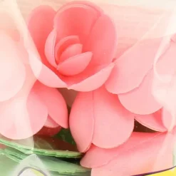 Décoration Comestible*FLORENSUC Fleurs de roses x6, grandes feuilles x12 - en Azyme