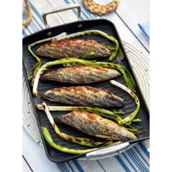 Grills*LE CREUSET Grill géantanti-adhérant 34 x 25 cm