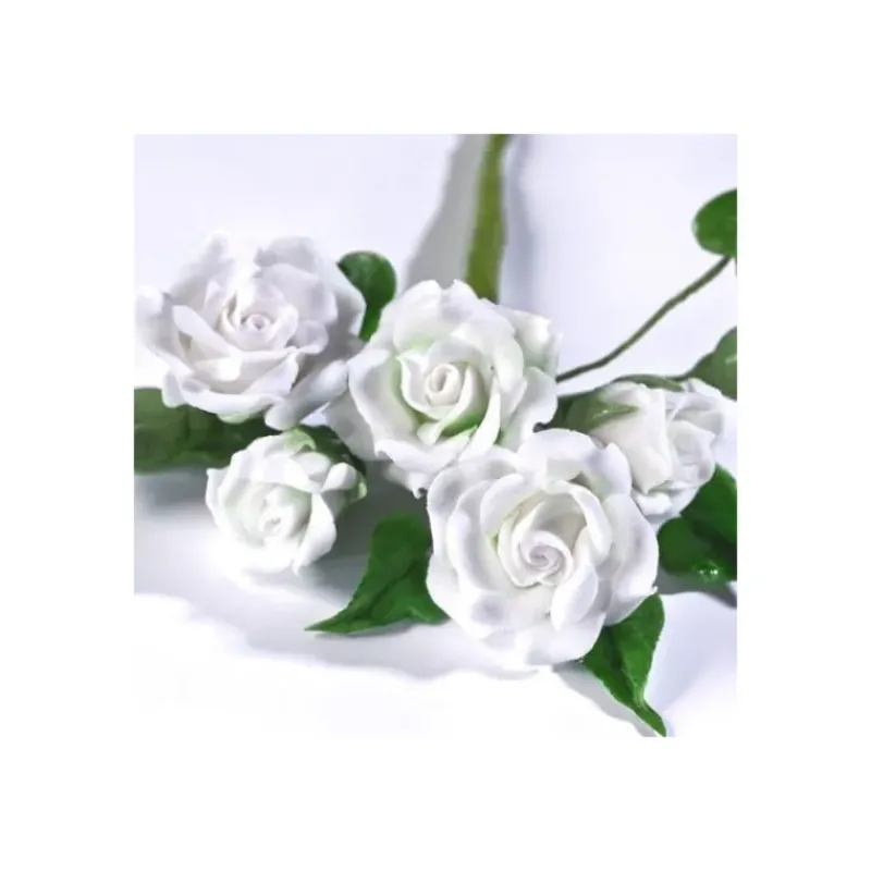 Pâte À Sucre*RENSHAW Gum Paste Blanc 250 g