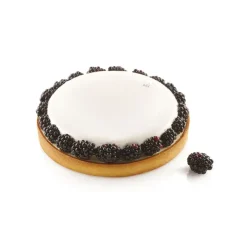 Moule Silicone|Moules À Gâteaux*SILIKOMART Kit Moule Silicone 1 Tarte Ø 210mm Professional