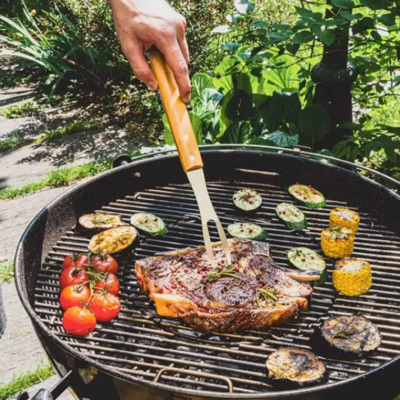 Accessoires Barbecue*MASTRAD Kit Ustensile Barbecue Complet