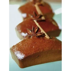 Moule Silicone*FLEXIPAN Lingots - Moule silicone