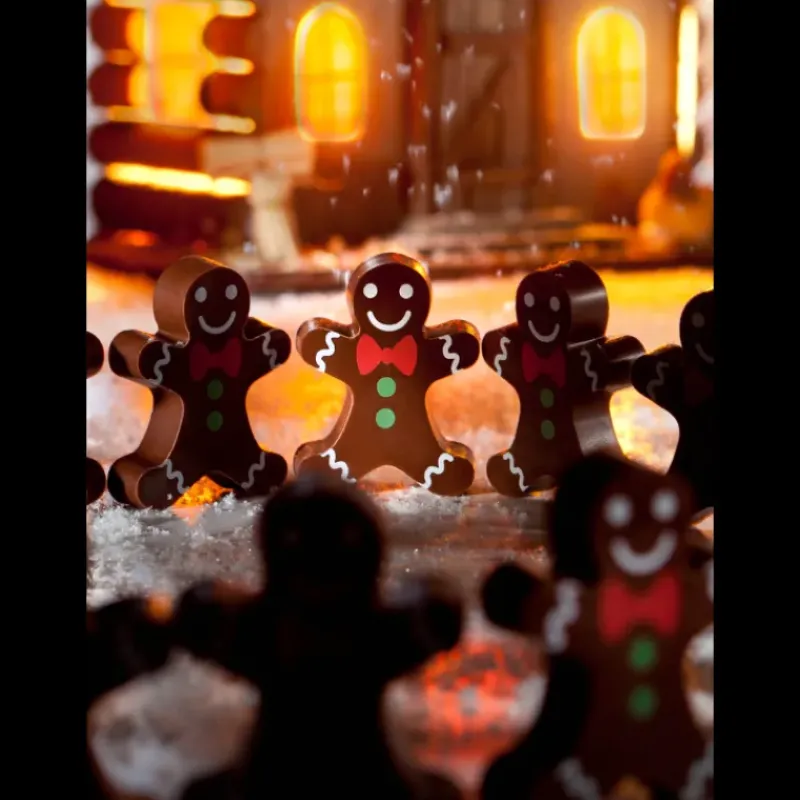 Moules À Chocolat*CHOCOLATE WORLD Moule Chocolat Aimanté Pain d'Épice (x12)