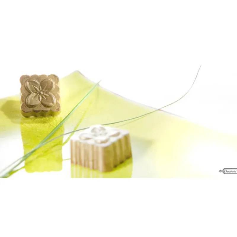 Moules À Chocolat*CHOCOLATE WORLD Moule Chocolat Bonbon Fleur Jeffery Koo (x24)