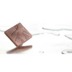 Moules À Chocolat*CHOCOLATE WORLD Moule Chocolat Carré avec Feuille (x10)
