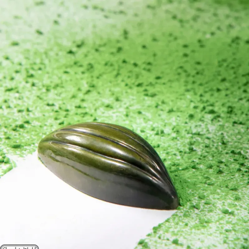 Moules À Chocolat*CHOCOLATE WORLD Moule Chocolat Fève de Cacao 6 lignes 4,8 x 2,1 cm (x21)