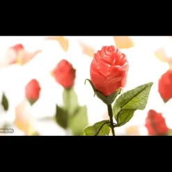 Moules À Chocolat*CHOCOLATE WORLD Moule Chocolat Rose Ouverte 12 Cavités