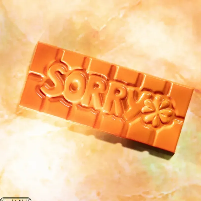 Moules À Chocolat*CHOCOLATE WORLD Moule Chocolat Tablette Sorry (x4)