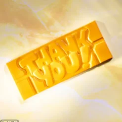 Moules À Chocolat*CHOCOLATE WORLD Moule Chocolat Tablette Thank You (x4)