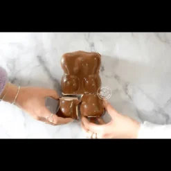 Moules À Chocolat*SCRAPCOOKING Moule 3D Chocolat Ourson