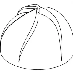 Moule Silicone*PAVOFLEX Moule Silicone Dôme Vertigo Ø 7 cm x H 4,4 cm (x24)