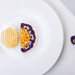 Moules À Chocolat|Décoration Comestible*PAVONI Moule Silicone Gourmand Rayon de Miel 6,7 x 6 x H 0,2 (x8)