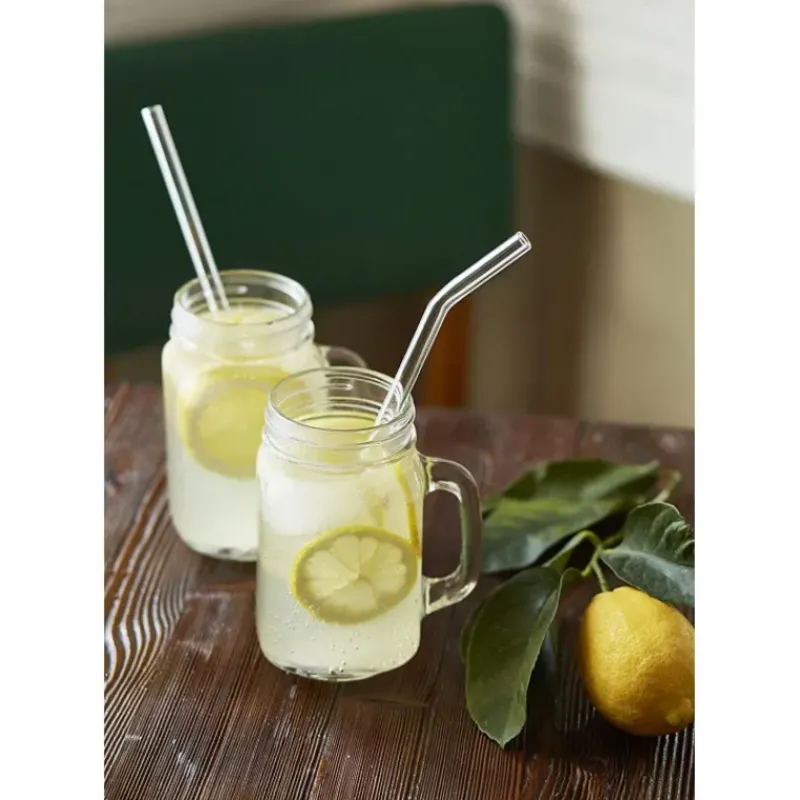 Accessoires Bar*CUISINEADDICT Paille Réutilisable en Verre 23cm courbée x6 HALM