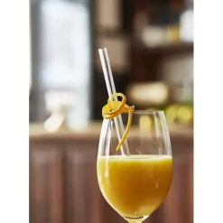 Accessoires Bar*CUISINEADDICT Paille Réutilisable en Verre 20cm droite x4 HALM