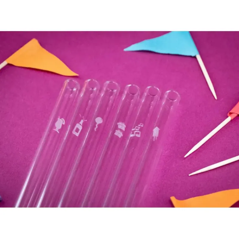 Accessoires Bar*CUISINEADDICT Paille Réutilisable en Verre Fêtes 20cm droite x6 HALM