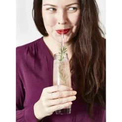 Accessoires Bar*CUISINEADDICT Paille Réutilisable en Verre 23cm droite x4 HALM