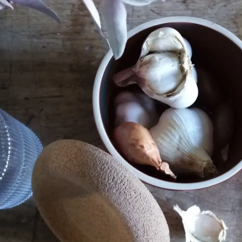 Conservation*EMILE HENRY Pot à Ail en Céramique 0,94 l Truffe