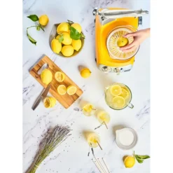 Robot Pâtissier*ANKARSRUM Presse Agrumes pour le robot culinaire