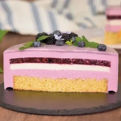 Préparation Pâtisserie*PATISDECOR Préparation Bavarois Gel Fruits des Bois 100 g Patisdécor