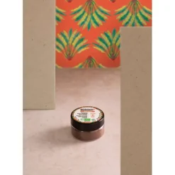 Arômes Alimentaires|Gousse De Vanille*NOROHY Vanille en Poudre Bio 10 g